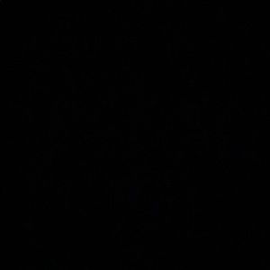 Meet your Posher, Bren